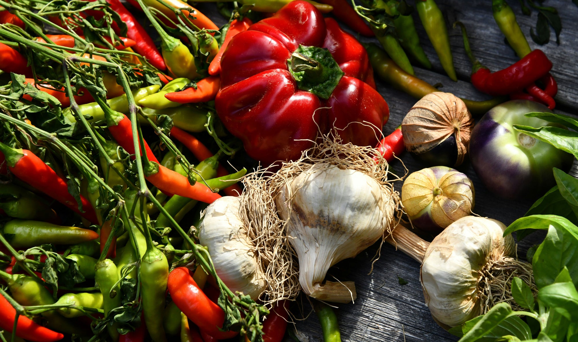The Science of Umami: How Garlic and Chilies Unlock Flavor