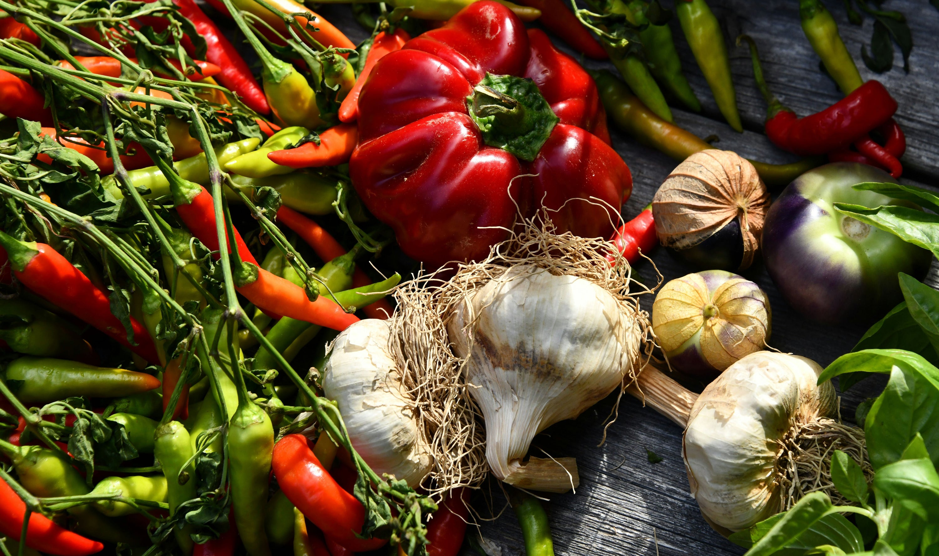 The Science of Umami: How Garlic and Chilies Unlock Flavor