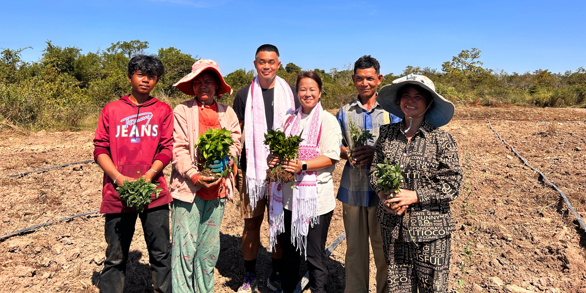 Cambodian Chili Farm